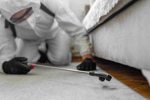 Professional Termite Control technician working in Highfill, AR