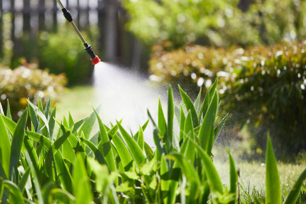 24/7 Emergency Termite Control experts in Highfill, AR